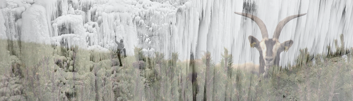 ECOSYSTEMS & BIODIVERSITY - Alpine Climate 2050